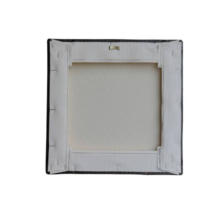 The Sage - Canvas Print