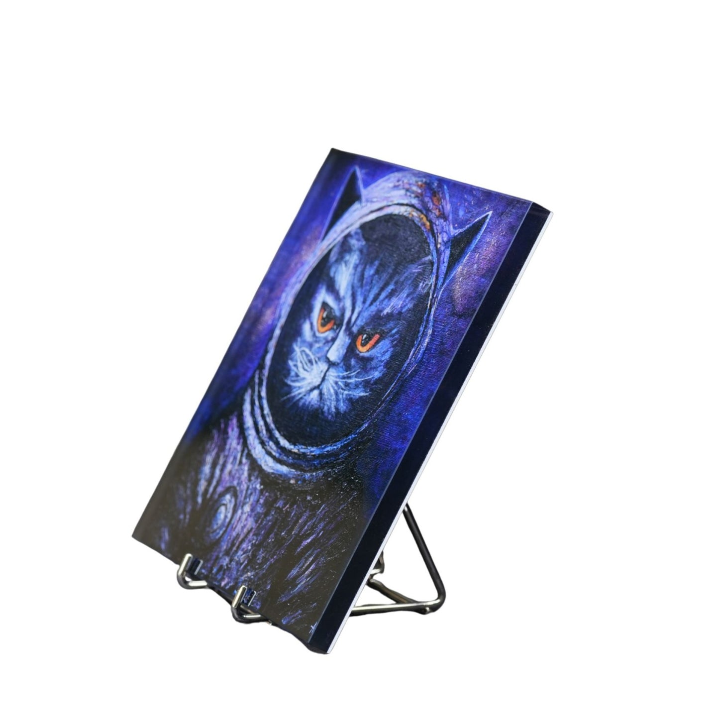 The Explorer - Acrylic Glass Print