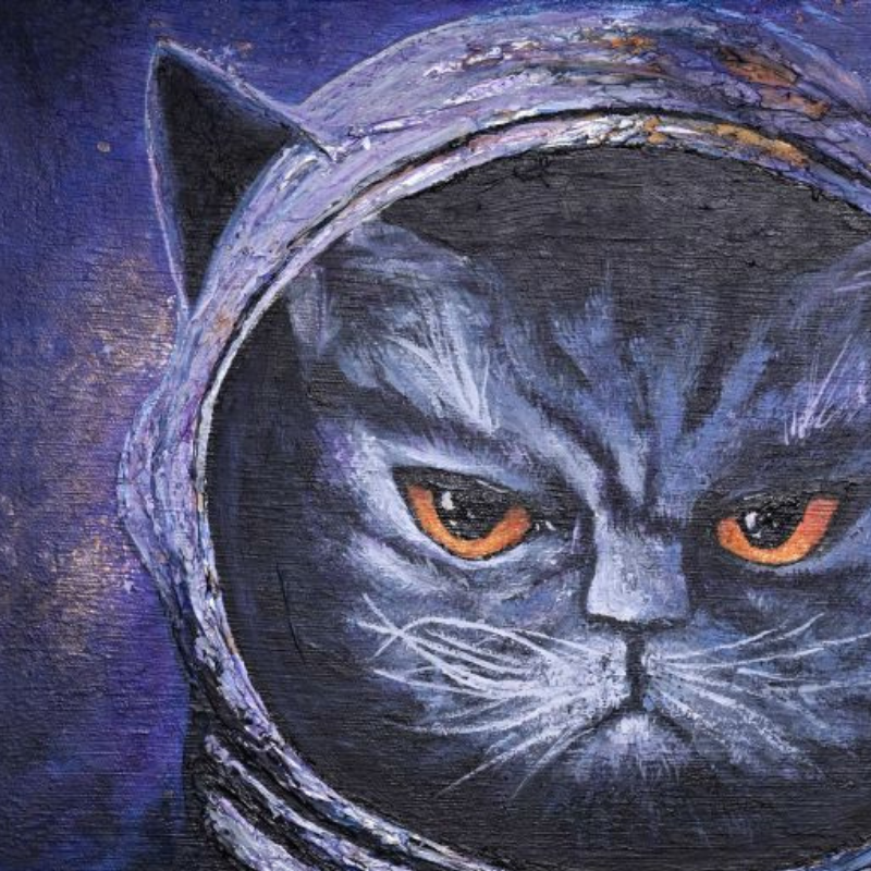 The Explorer - originální obraz